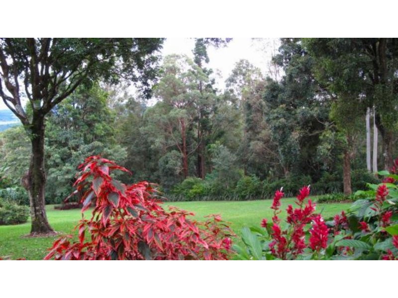 4 Newes Rd, Coorabell NSW 2479