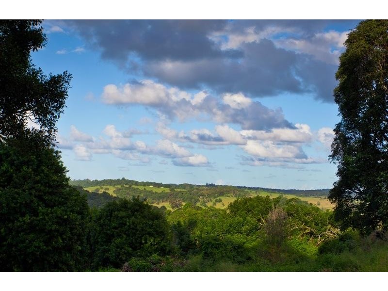 130 Rosebank Rd, Rosebank NSW 2480