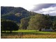 The Pocket NSW 2483
