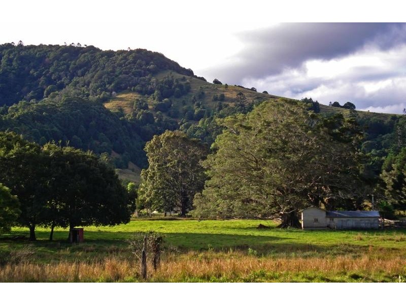 The Pocket NSW 2483