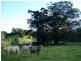 The Pocket NSW 2483