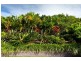 7 Bayfigs Pl, Myocum NSW 2481
