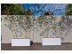7 Bayfigs Pl, Myocum NSW 2481