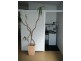 Bangalow NSW 2479