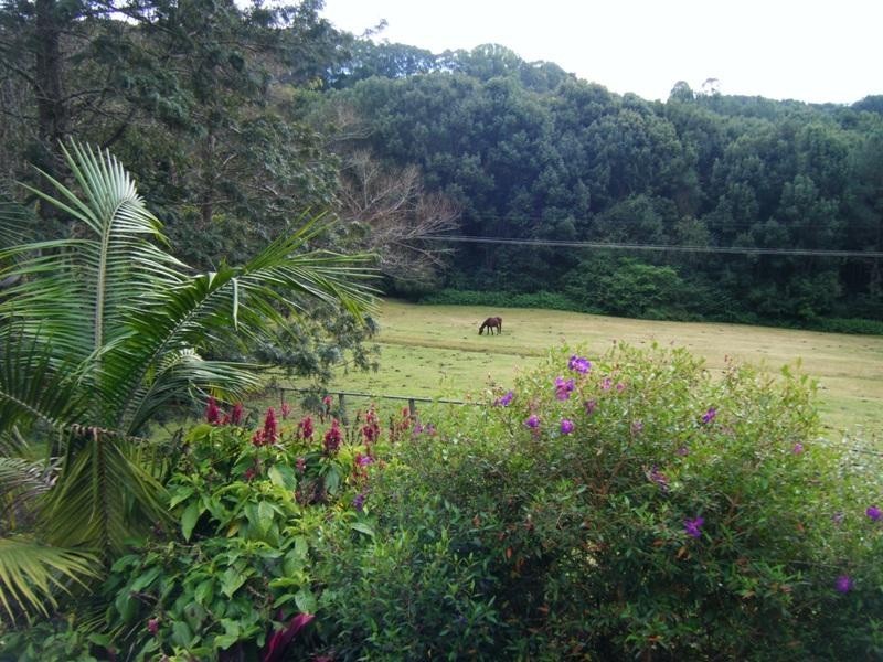 Possum Creek NSW 2479