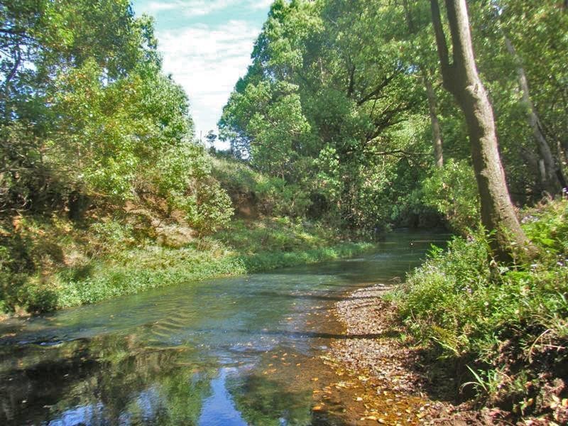 Binna Burra NSW 2479