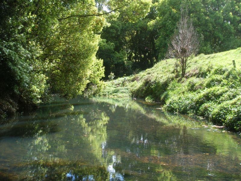 Binna Burra NSW 2479