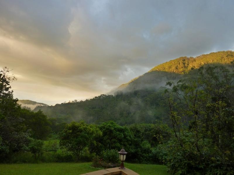 Wilsons Creek NSW 2482