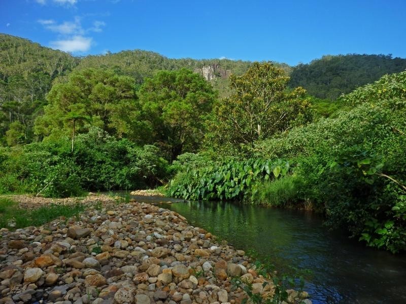 Wilsons Creek NSW 2482