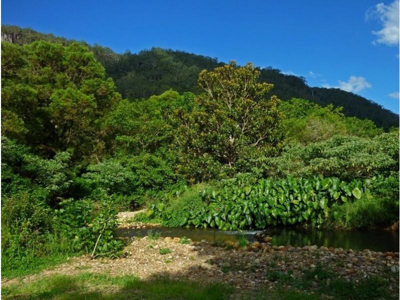 Wilsons Creek NSW 2482