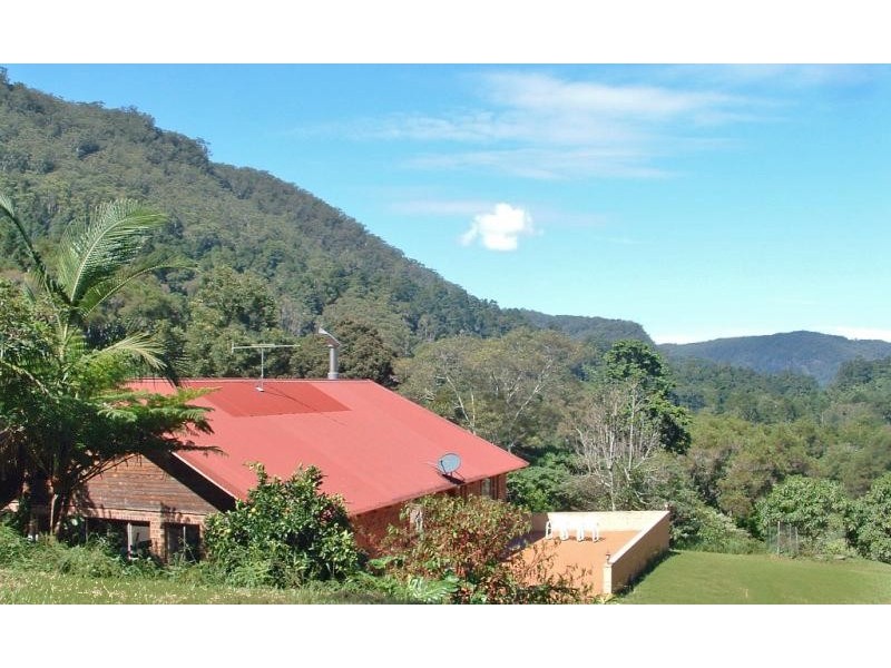 Wilsons Creek NSW 2482