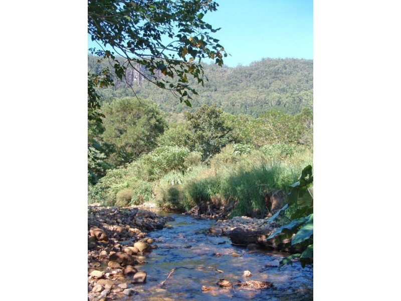 Wilsons Creek NSW 2482