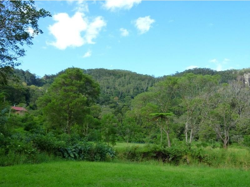 Wilsons Creek NSW 2482