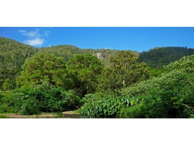 Wilsons Creek NSW 2482