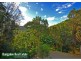 Wilsons Creek NSW 2482