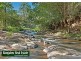 Wilsons Creek NSW 2482
