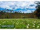 Tintenbar NSW 2478