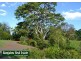 Rosebank NSW 2480