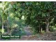 Rosebank NSW 2480