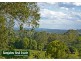 Rosebank NSW 2480