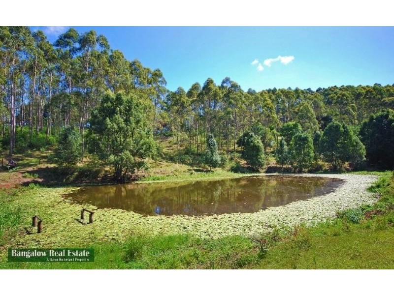 Binna Burra NSW 2479
