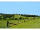 Binna Burra NSW 2479