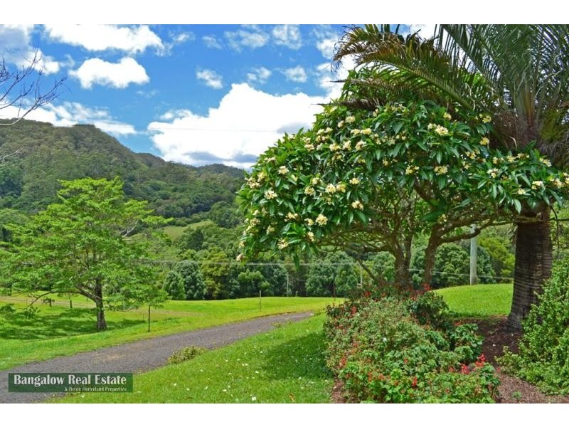 328 Upper Coopers Creek Rd, Rosebank NSW 2480