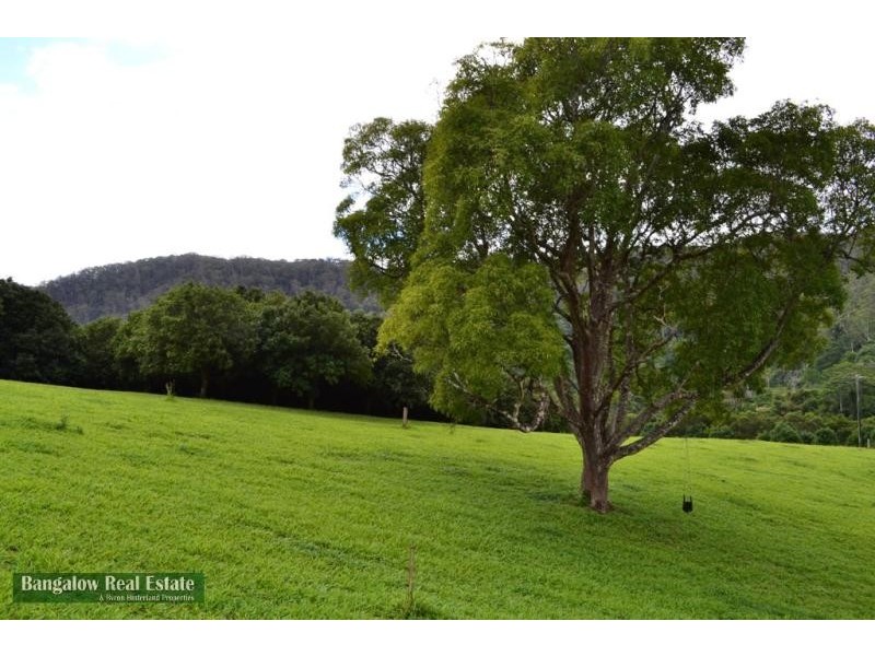 328 Upper Coopers Creek Rd, Rosebank NSW 2480