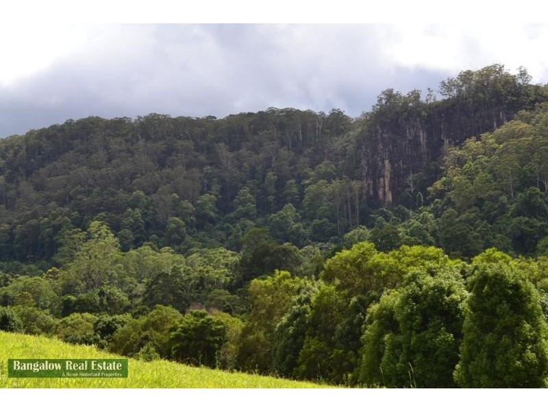 328 Upper Coopers Creek Rd, Rosebank NSW 2480