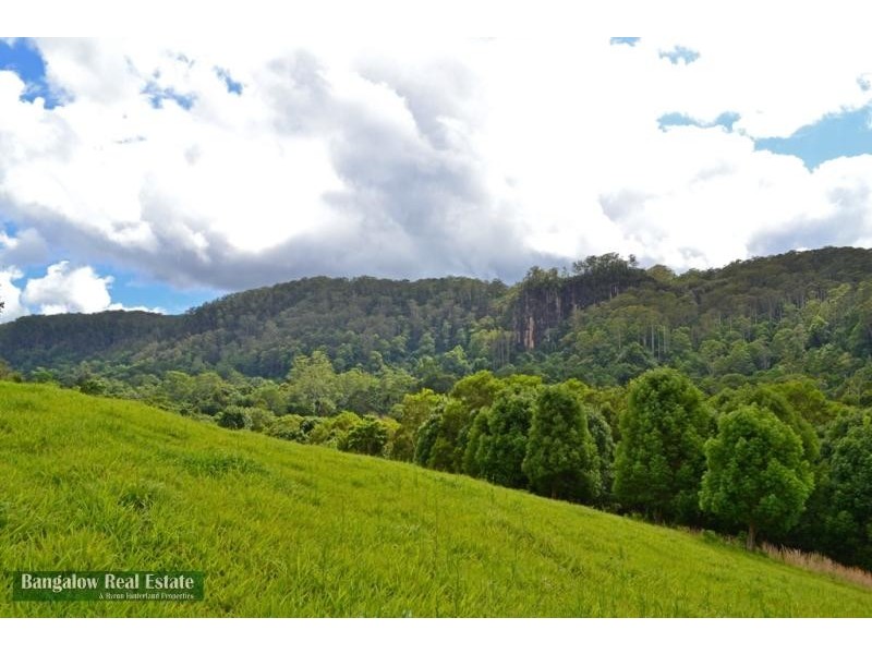 328 Upper Coopers Creek Rd, Rosebank NSW 2480