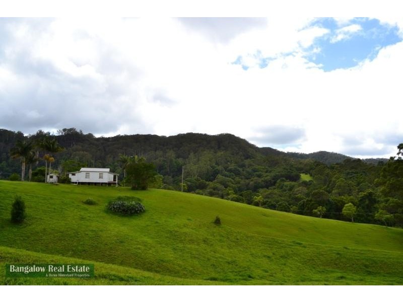 328 Upper Coopers Creek Rd, Rosebank NSW 2480