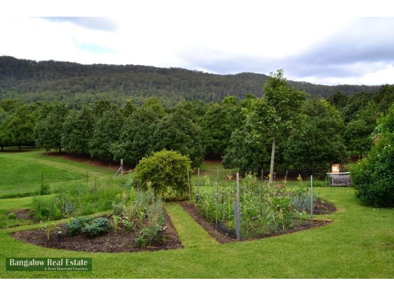 328 Upper Coopers Creek Rd, Rosebank NSW 2480