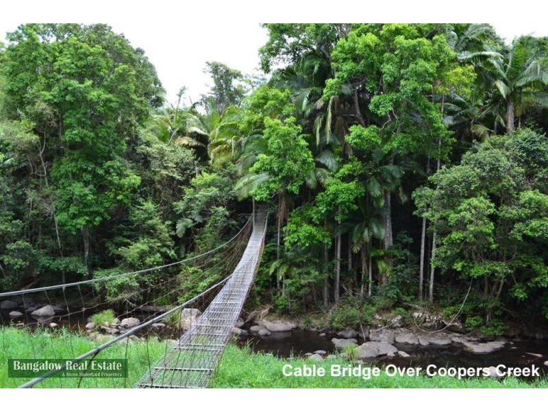 328 Upper Coopers Creek Rd, Rosebank NSW 2480