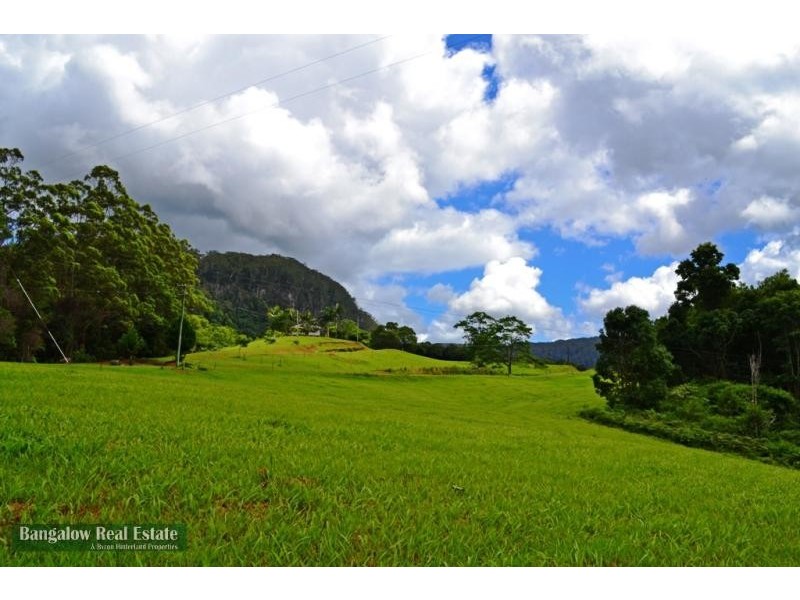 328 Upper Coopers Creek Rd, Upper Coopers Creek NSW 2480