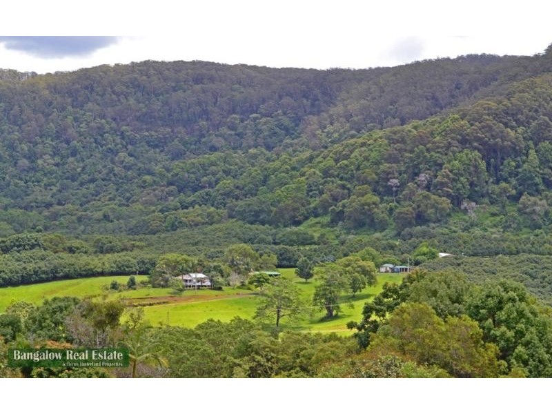 328 Upper Coopers Creek Rd, Upper Coopers Creek NSW 2480