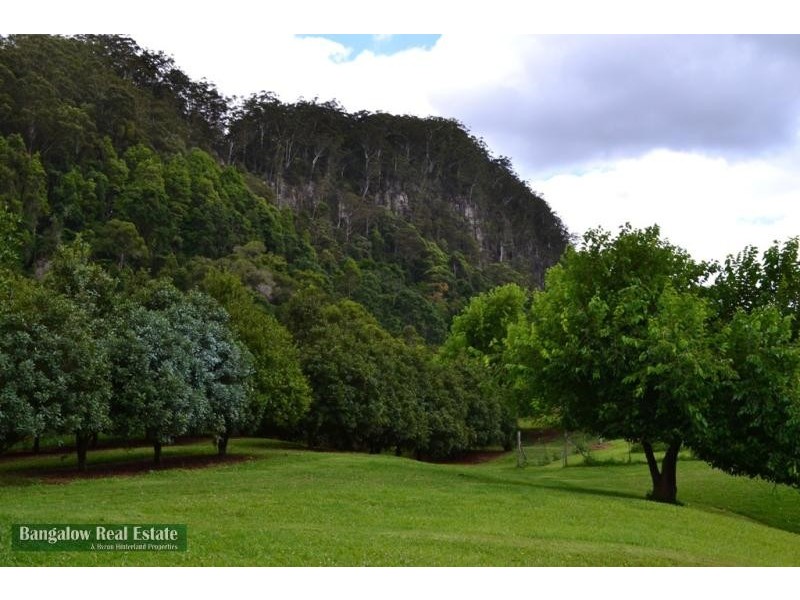 328 Upper Coopers Creek Rd, Repentance Creek NSW 2480