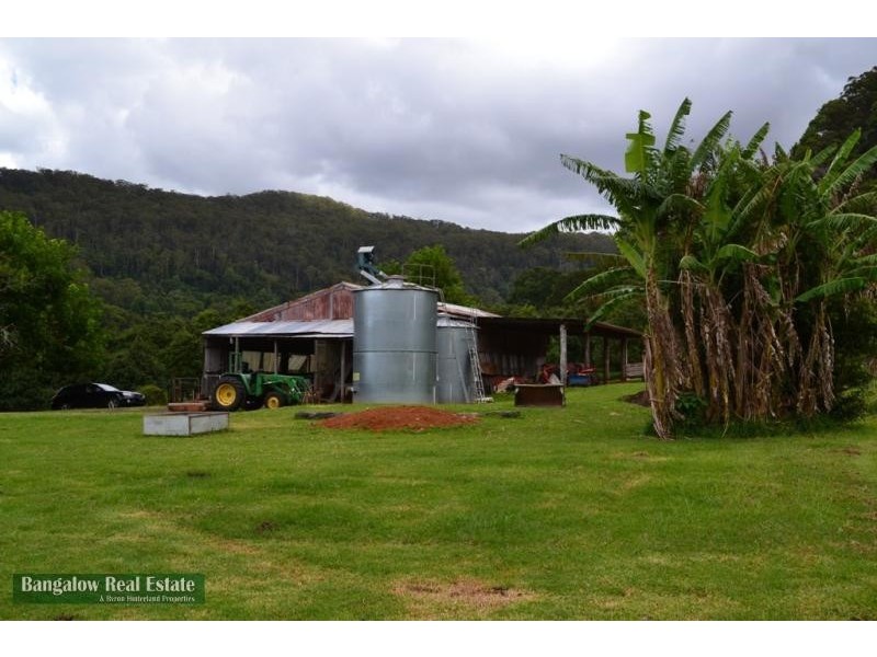 328 Upper Coopers Creek Rd, Repentance Creek NSW 2480