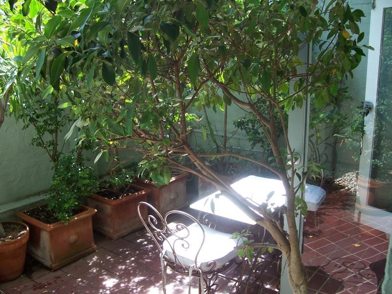 2/60 Bream St, Coogee NSW 2034