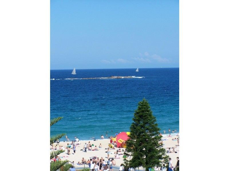 6/104 Mount St, Coogee NSW 2034