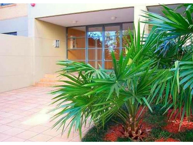 28/13 Hill St, Coogee NSW 2034