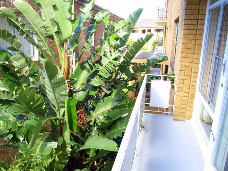 2/76 Mount St, Coogee NSW 2034