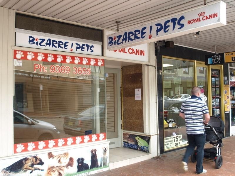 273 Bronte Rd, Waverley NSW 2024