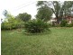 37 Robinson (North) St, Wiley Park NSW 2195