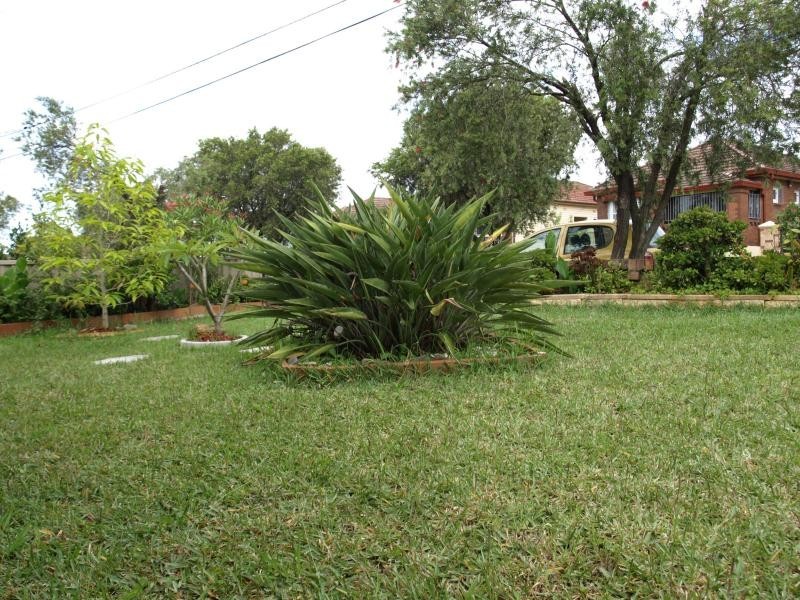 37 Robinson (North) St, Wiley Park NSW 2195