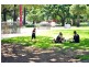 Redfern NSW 2016