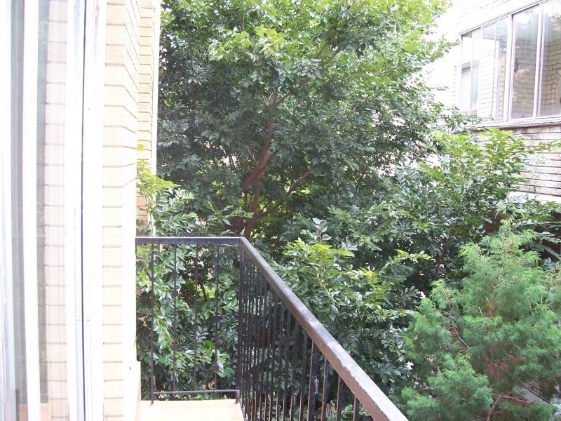 2/106 Mount St, Coogee NSW 2034