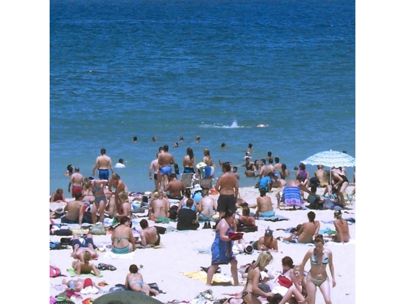 10/84 Bream St, Coogee NSW 2034