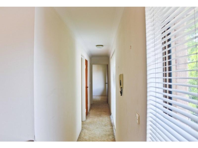 3/77 Arden St, Coogee NSW 2034