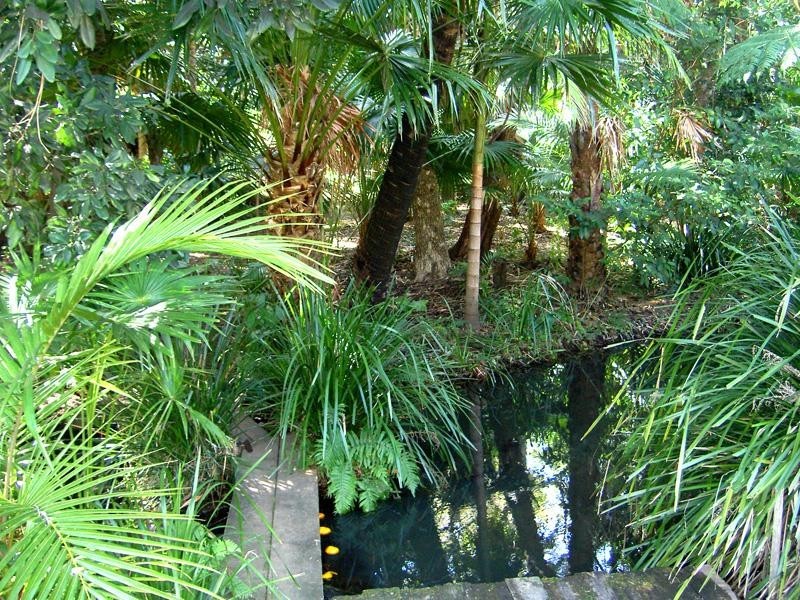 13/27-29 Head  St, Forster NSW 2428