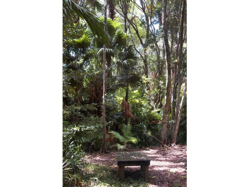 13/27-29 Head  St, Forster NSW 2428